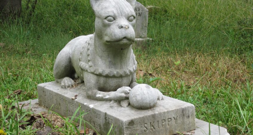 [Res Rhetorica] „Komunikowanie o śmierci i pochówku psów przez polską branżę zoologiczną i dogparentingową jako przykład negocjowania i ustalania norm retorycznych – analiza treści artykułów poradnikowych”